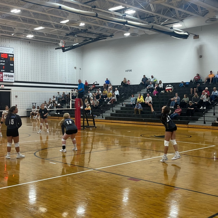 ms vb